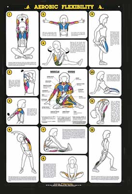 Aerobic flexibility exercises new arrivals